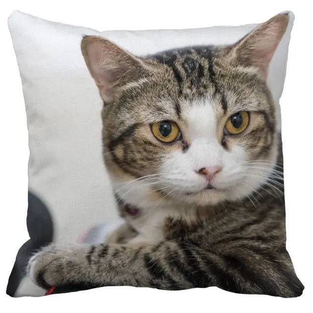Cushion Cover Cat Pictures Sofa Living Room Home Decor #29 - TrendyPet's Zone