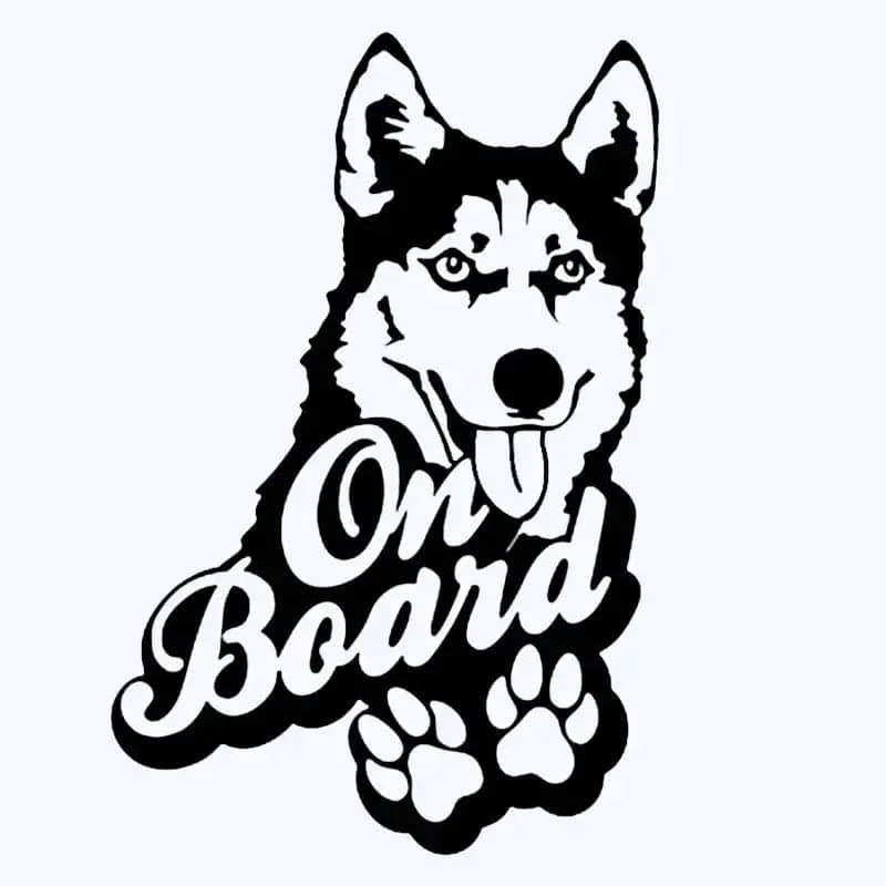 Black Husky car bumper sticker vinyl decal featuring a funny on-board design for rear window and auto decoration.