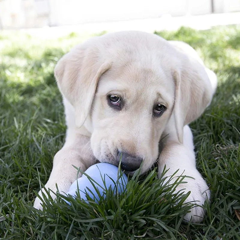 Blue KONG Puppy Natural Teething Rubber Chew Toy - TrendyPet's Zone