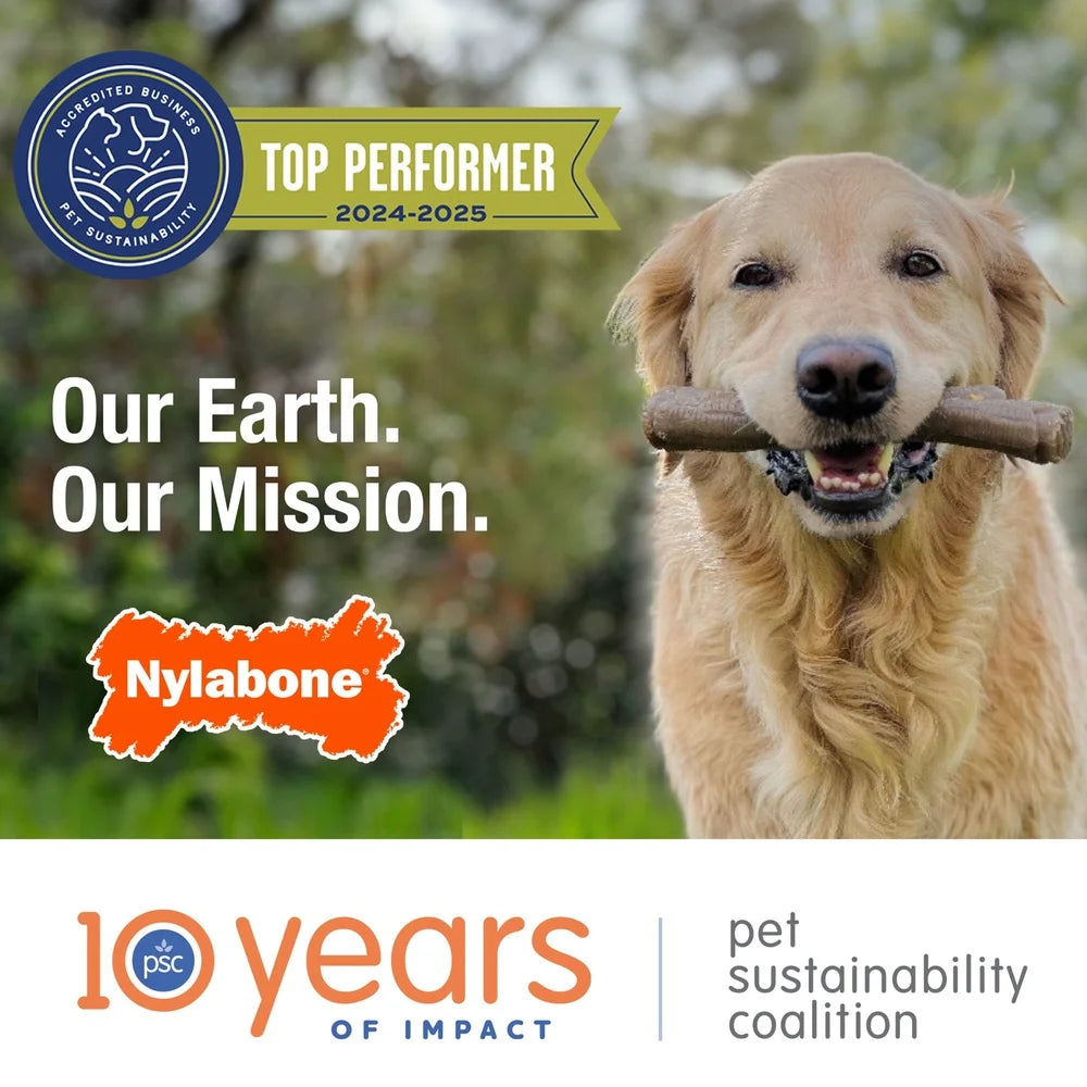 Dental Care Chew Toys Nylabone Value Pack for Small Dogs Up to 15 lbs TrendyPet's Zone