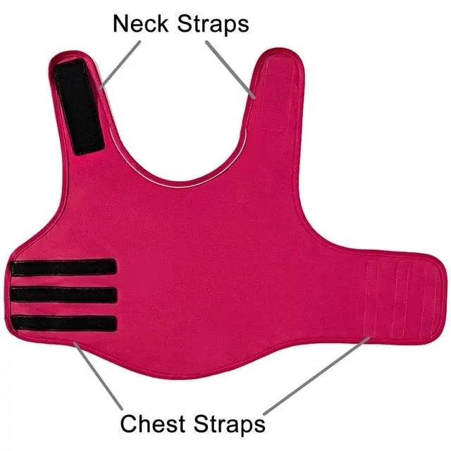 Rose Red Dog Thunder Shirt Vest Anxiety Relief Reflective TRENDYPET'S ZONE