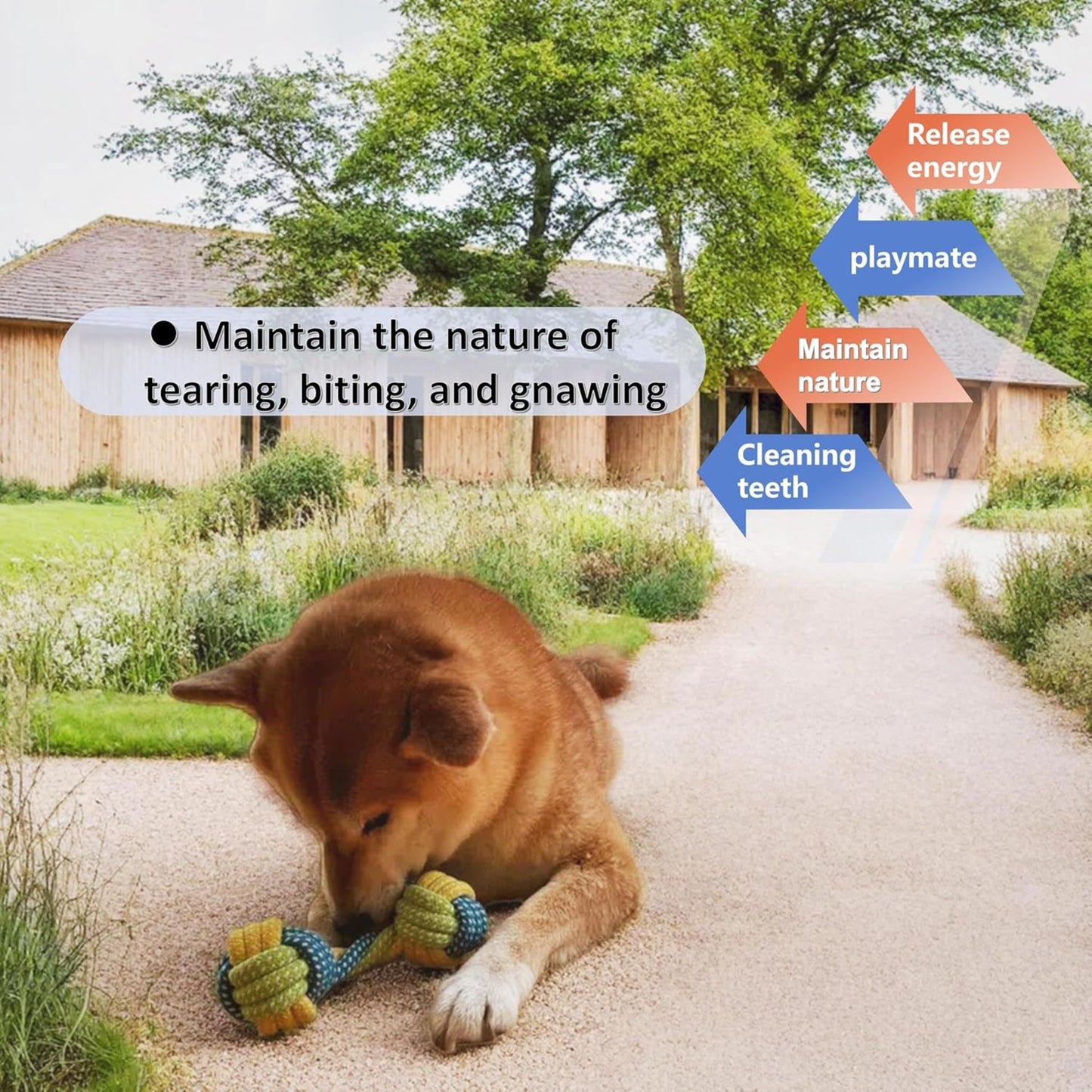 Green Dumbbell Rope Chew Toy for Puppies Teething & Anxiety Relief TrendyPet's Zone
