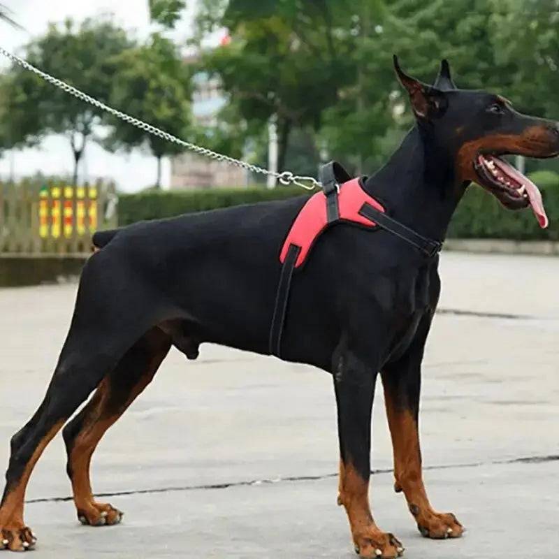 Pink Pet Dogs Adjustable Harness Small and Large Dog Harness Vest - TrendyPet's Zone