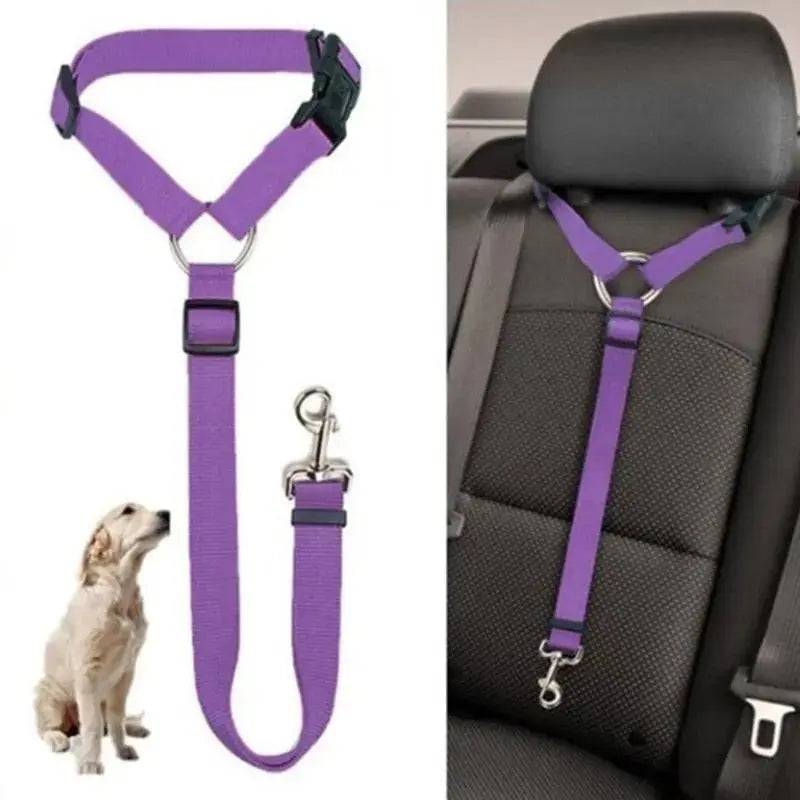 Purple solid color two-in-one pet car seat belt with nylon leash, adjustable dog harness and collar for backseat safety.