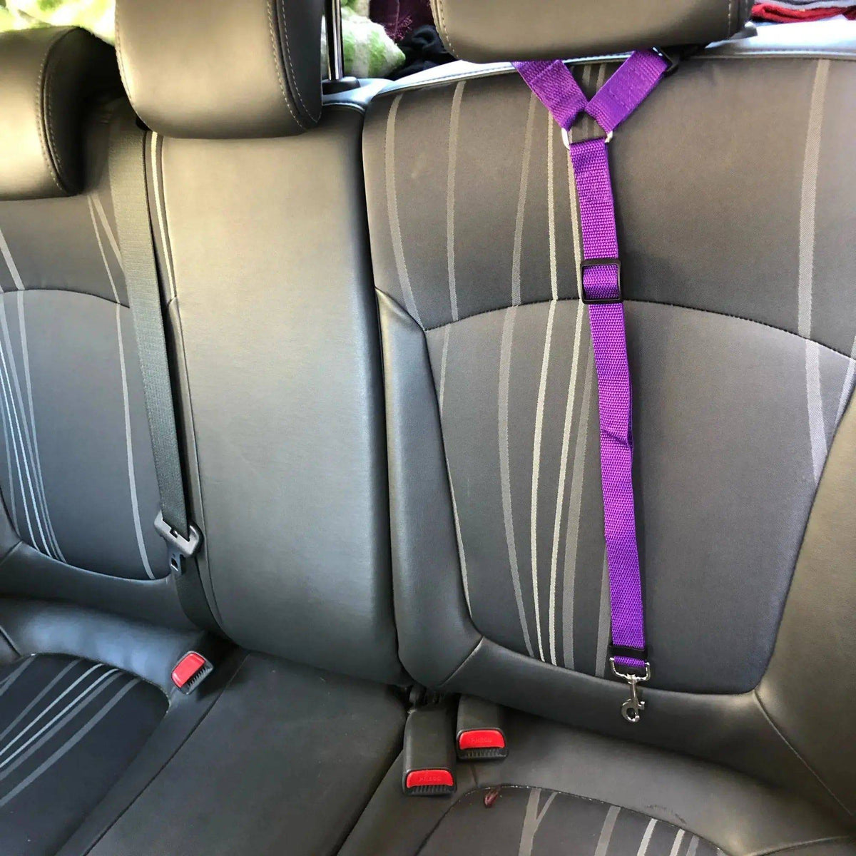 Purple solid color two-in-one pet car seat belt and leash for dogs, adjustable nylon harness and collar safety accessory.