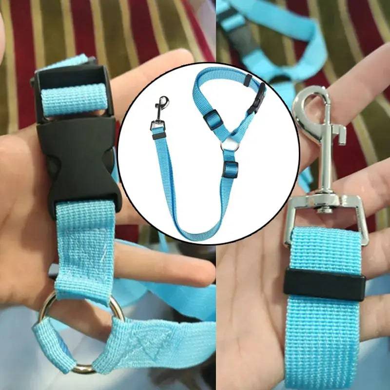 Purple two-in-one pet car seat belt and leash for dogs, adjustable nylon harness and safety belt from TrendyPet's Zone.