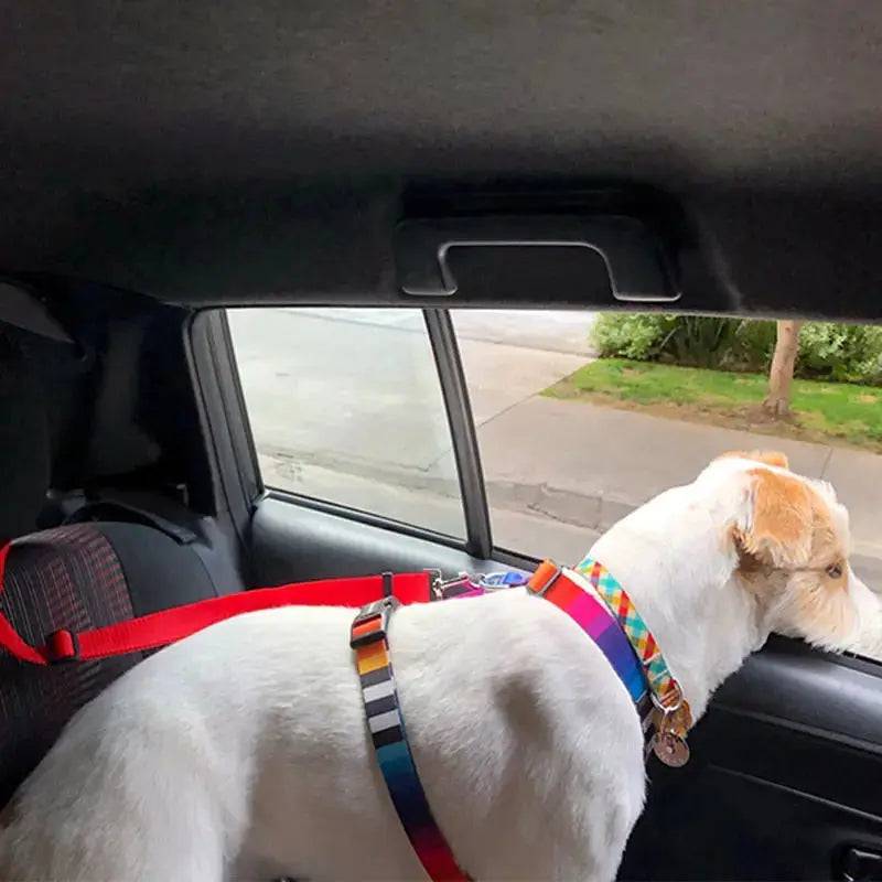 Red Solid Color Two-in-one Pet Car Seat Belt Nylon Lead Leash Backseat Safety Belt Adjustable Dogs Harness Collar Pet Accessories - TrendyPet's Zone