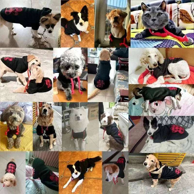 Black Foot Dog Winter Coat Pet Jacket Plaid Vest Cold Weather Clothes Apparel - TrendyPet's Zone