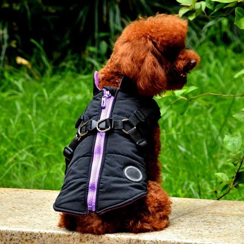 Black Waterproof Dog Vest Jacket with Harness Winter Coats - TrendyPet's Zone