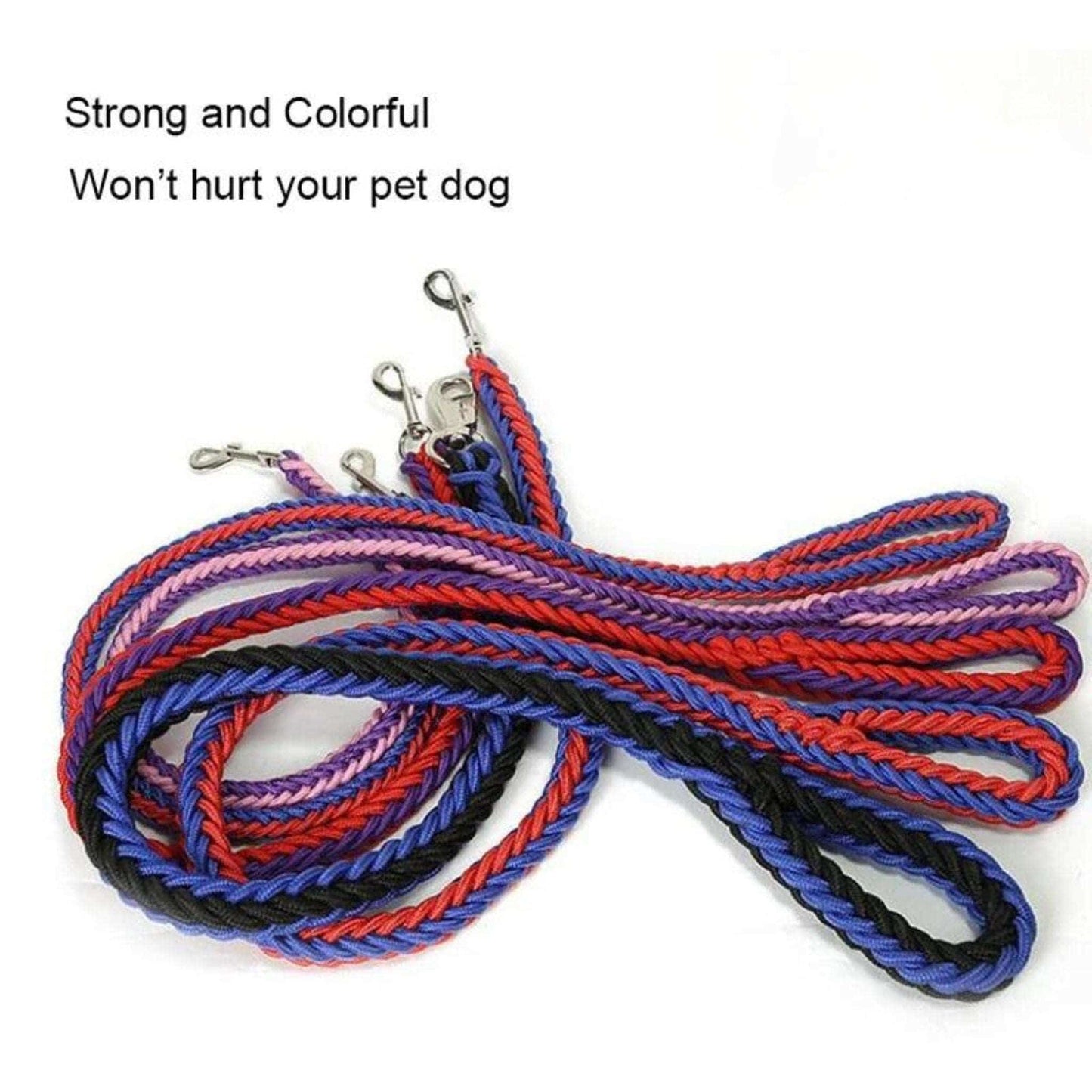 Blue Black Super Strong Coarse Nylon Dog Leash Double Row Adjustable Collar For Medium Large Dogs - TrendyPet's Zone