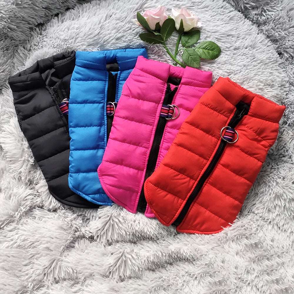 Blue Windproof Pet Dog Coat Jacket Winter Warm Padded Vest TrendyPet's Zone