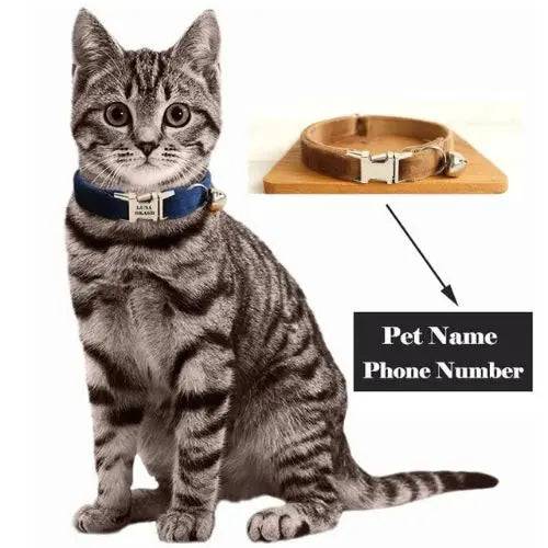 Coffee Cat Small Dog Collar with Bell Personalized Engraving ID Tag Nameplate Kitten Collars Necklace Small Dogs Puppy Bulldog Chihuahua Yorshire - TrendyPet's Zone