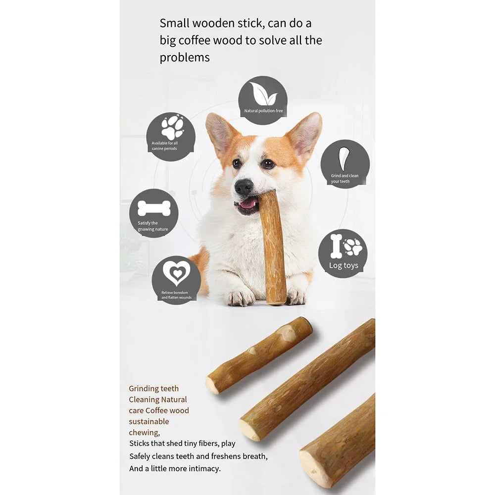 Wooden dog chew stick from TrendyPet's Zone designed for healthy teeth and playful chewing fun.