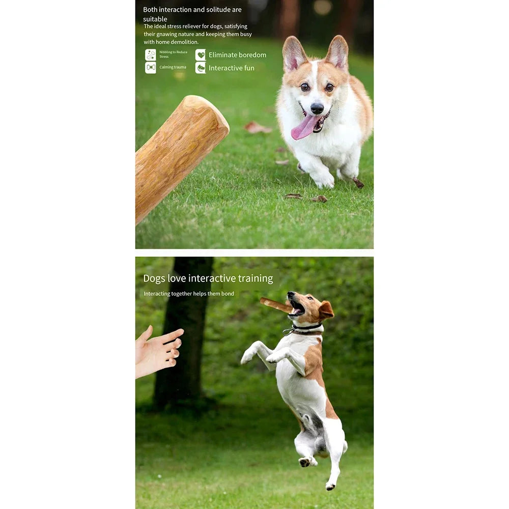 Wooden coffee-flavored dog chew stick from TrendyPet's Zone, designed for healthy teeth and playful chewing.