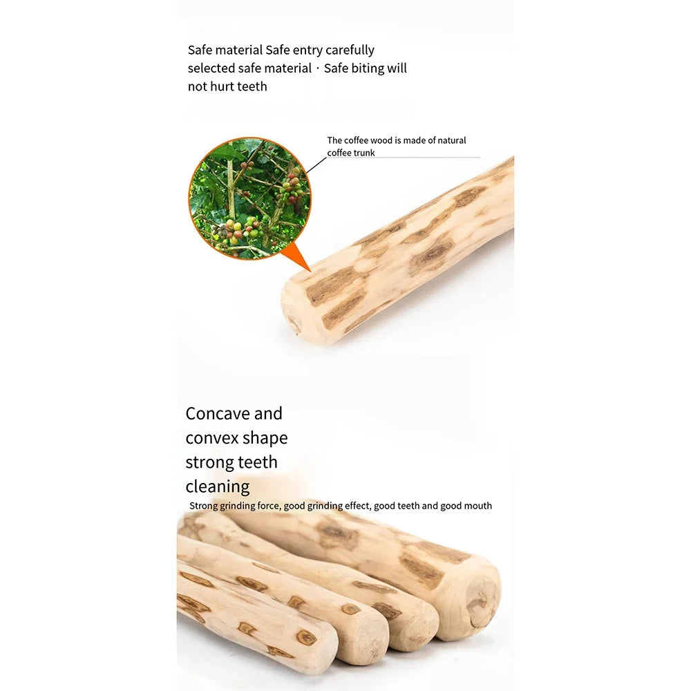 Trendypet's Zone coffee wooden dog chew stick for healthy teeth and playful chewing action, designed for canine dental health.