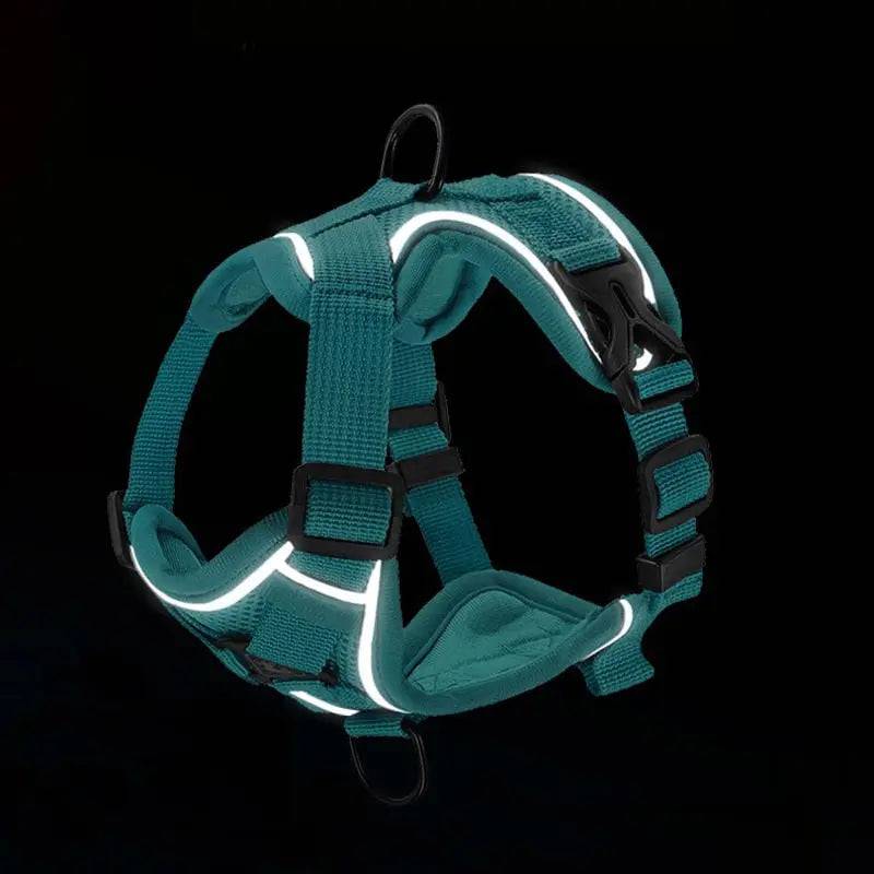 Cyan Dog Harness Leash Set Reflective Breathable Vest Adjustable Chest Strap - TrendyPet's Zone