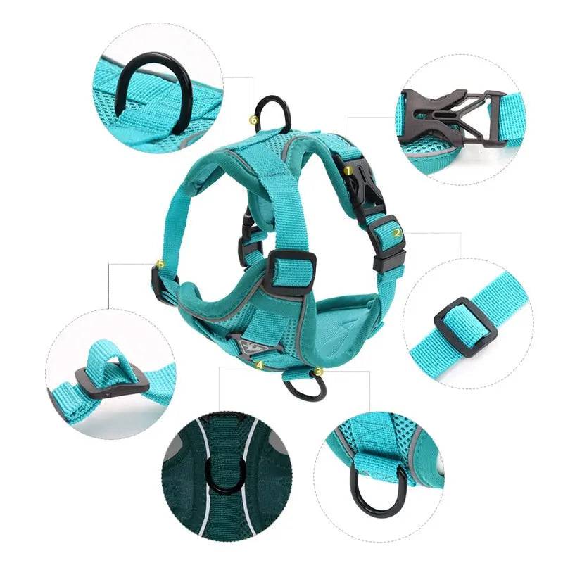 Cyan Dog Harness Leash Set Reflective Breathable Vest Adjustable Chest Strap - TrendyPet's Zone