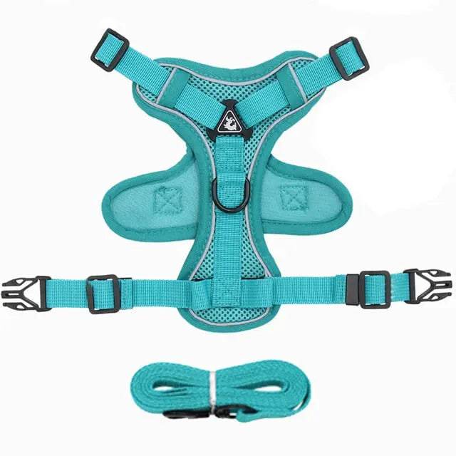 Cyan Dog Harness Leash Set Reflective Breathable Vest Adjustable Chest Strap - TrendyPet's Zone
