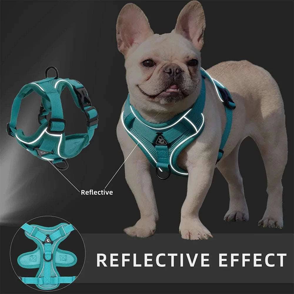 Cyan Dog Harness Leash Set Reflective Breathable Vest Adjustable Chest Strap - TrendyPet's Zone