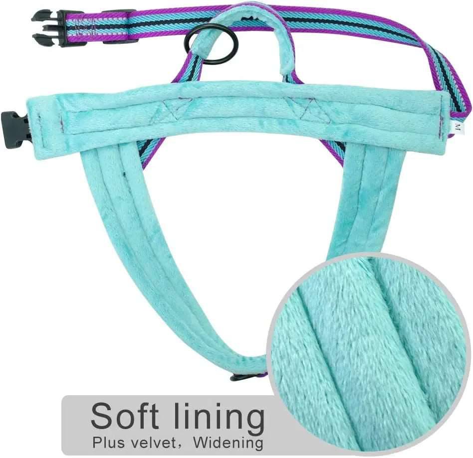 Cyan With Flower Warm Harness Vest Winter Soft Padded Pet Training Adjustable For Small Large Dog Puppy - TrendyPet's Zone