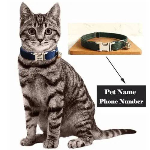 Dark Green Cat Small Dog Collar with Bell Personalized Engraving ID Tag Nameplate Kitten Collars Necklace Small Dogs Puppy Bulldog Chihuahua Yorshire - TrendyPet's Zone