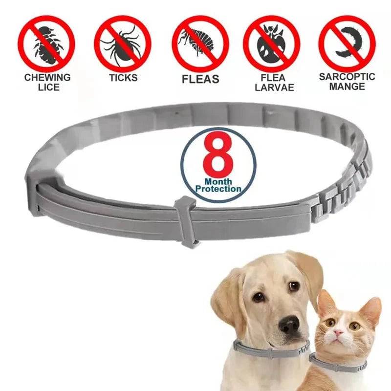 Flea and Tick Collar for Cats, 8-Month Flea and Tick Collar TRENDYPET'S ZONE
