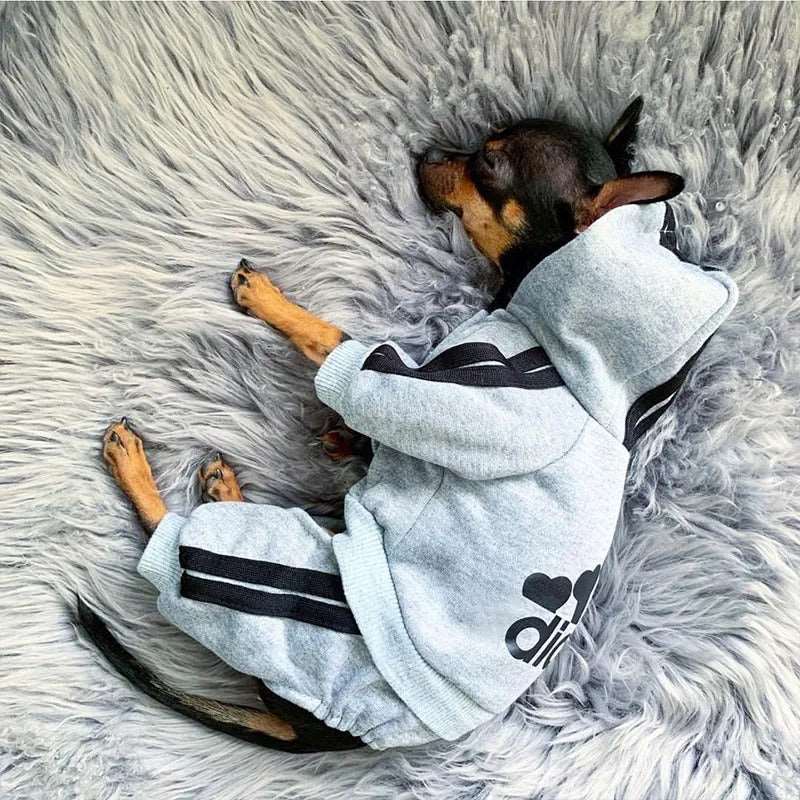 Gray Dog Hoodies Winter Pet Jumpsuit Pajamas Four Legged TRENDYPET'S ZONE