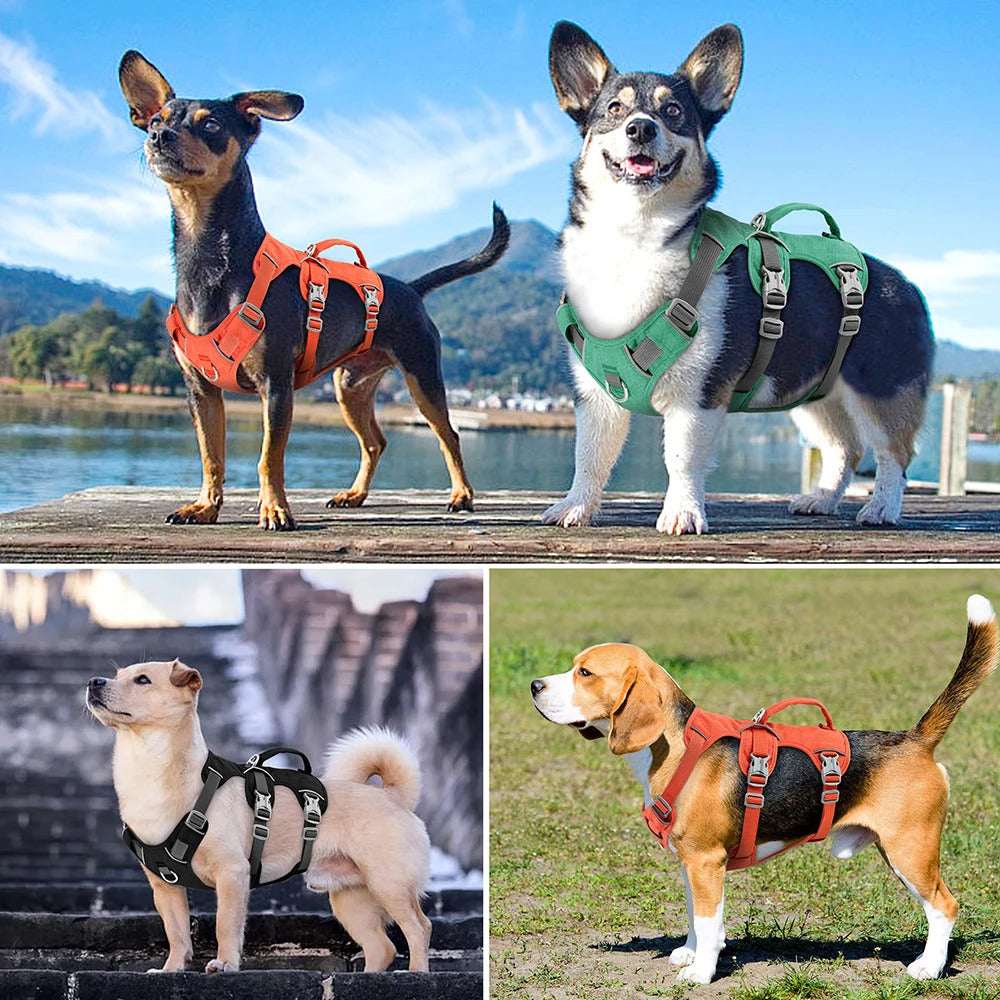 Green Escape-Proof Reflective Dog Harness by TrendyPet's Zone, durable and adjustable with reflective strips for visibility during walks.