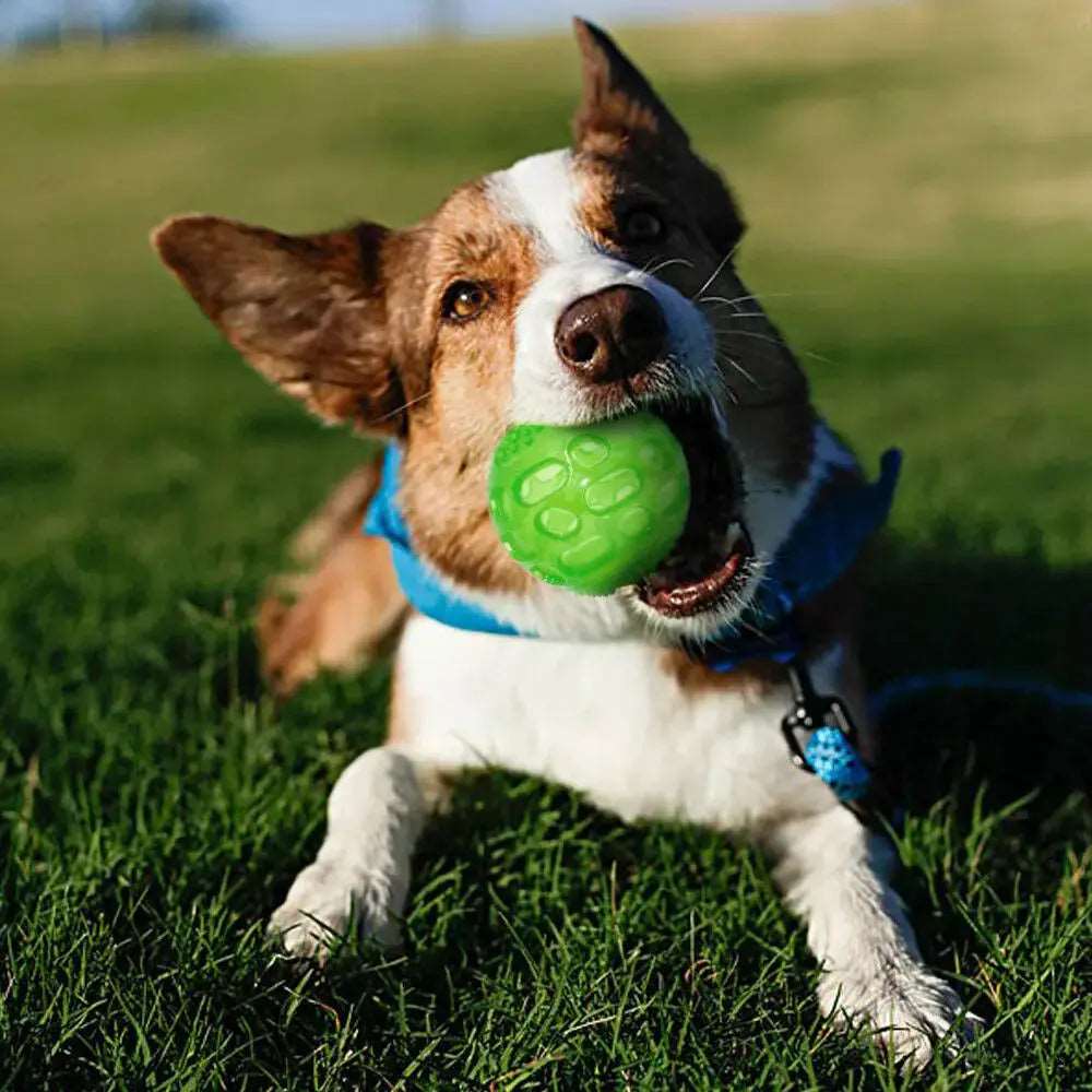 Green Pet Dog Puppy Sounding Toy Squeaky Tooth Cleaning Ball Playing Pet Teeth Chew Rubber Toy Float Funny Pet Dental Care Accessories - TrendyPet's Zone