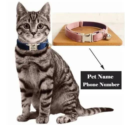 Light Pink Cat Small Dog Collar with Bell Personalized Engraving ID Tag Nameplate Kitten Collars Necklace Small Dogs Puppy Bulldog Chihuahua Yorshire - TrendyPet's Zone
