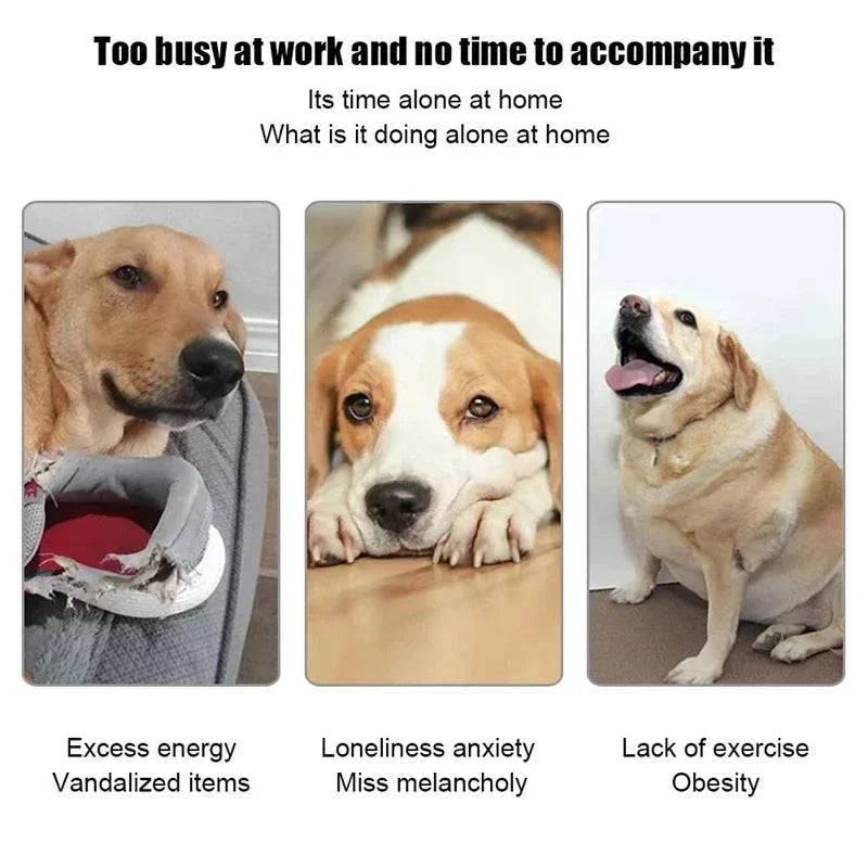 Orange Dog Tennis Launcher Automatic Pet Puppy Chase Toy Mini Tennis Throwing Pinball Machine Fun Interactive Throw Rechargeable Catapult TRENDYPET'S ZONE