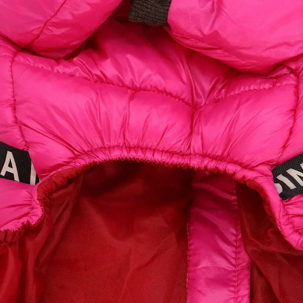 Pink waterproof dog coat with harness from TrendyPet's Zone, designed for warmth and outdoor protection.