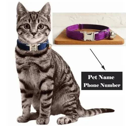 Purple Cat Small Dog Collar with Bell Personalized Engraving ID Tag Nameplate Kitten Collars Necklace Small Dogs Puppy Bulldog Chihuahua Yorshire - TrendyPet's Zone