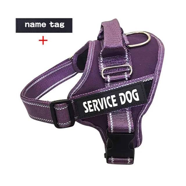 Purple Nylon Reflective Dog Harness Personalized Breathable With ID Patch - TrendyPet's Zone