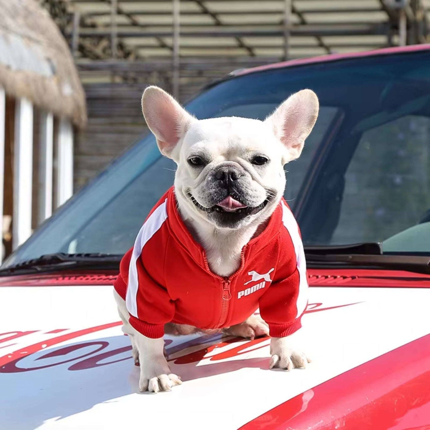 Red Luxury Dog Clothes Warm Fashion Pet Sweatshirt - TrendyPet's Zone