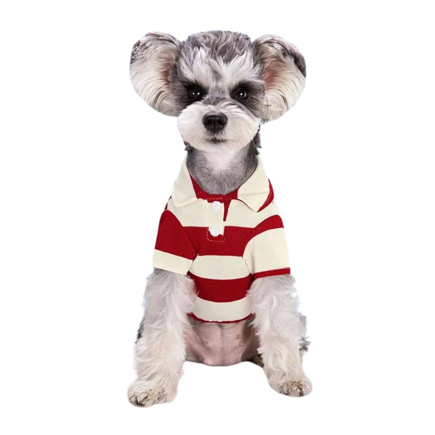 Red Pet Polo Shirt Summer Dog Clothes Casual Clothing for Small Large Puppy T-shirt Shirts - TrendyPet's Zone