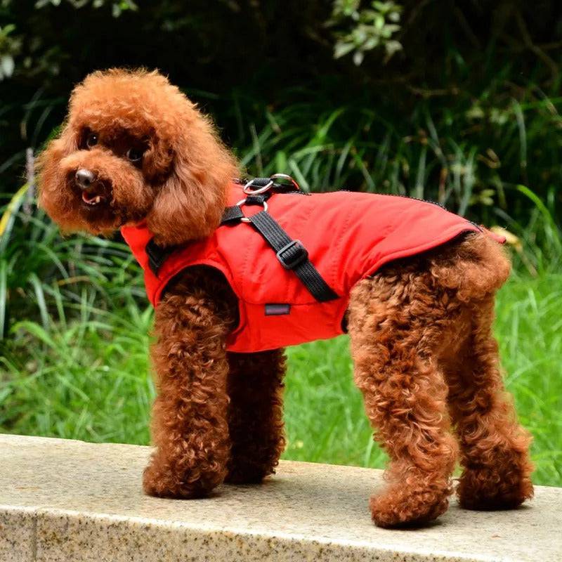 Red Waterproof Dog Vest Jacket with Harness Winter Coats - TrendyPet's Zone
