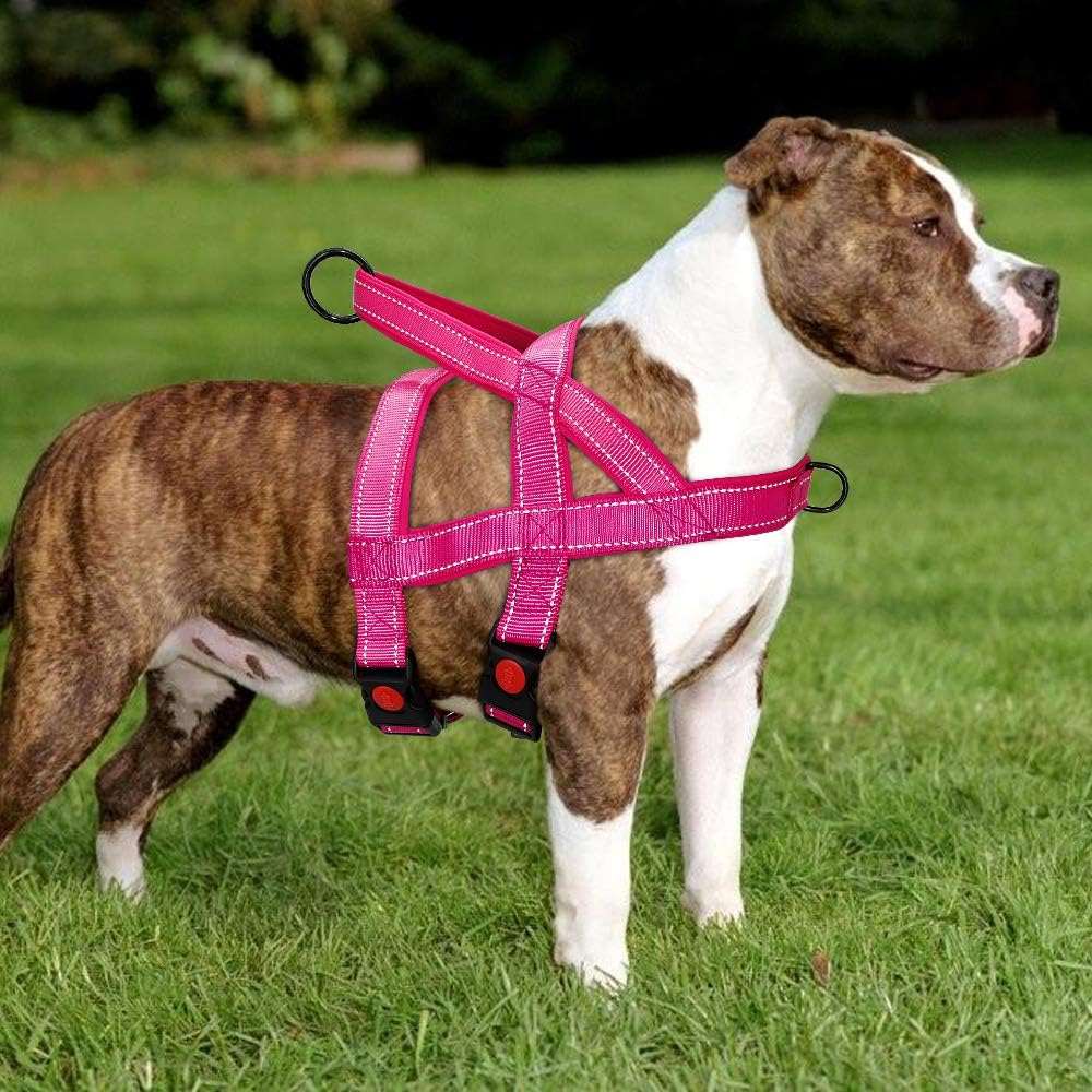 Rose Red No Pull Nylon Dog Harness Reflective Adjustable Dog Harness Vest For Medium Large Dogs Walking Training Belt - TrendyPet's Zone