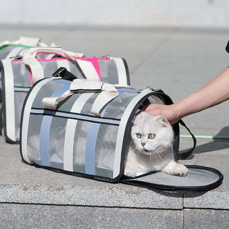 Rose Red TrendyPet's Zone pet carrier bag, large capacity, breathable shoulder bag for outdoor use, suitable for all seasons.
