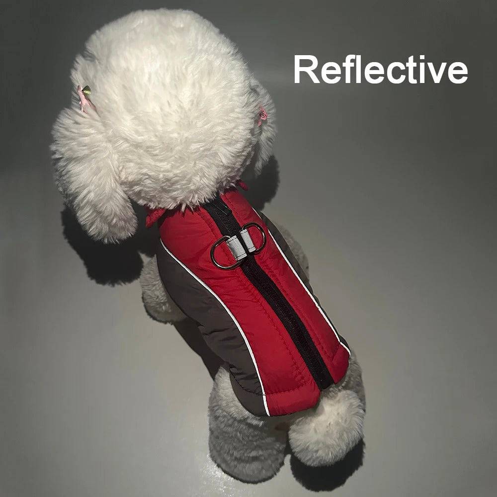 Rose Red Reflective Winter Jacket Windproof Dog Coats & Vest - TrendyPet's Zone