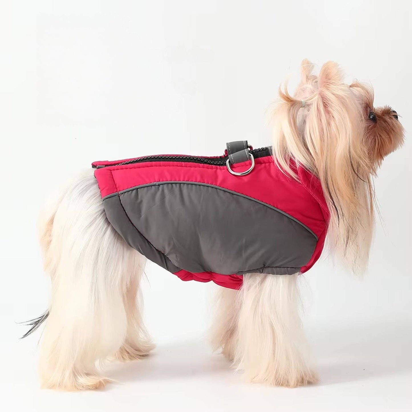 Rose Red Reflective Winter Jacket Windproof Dog Coats & Vest - TrendyPet's Zone