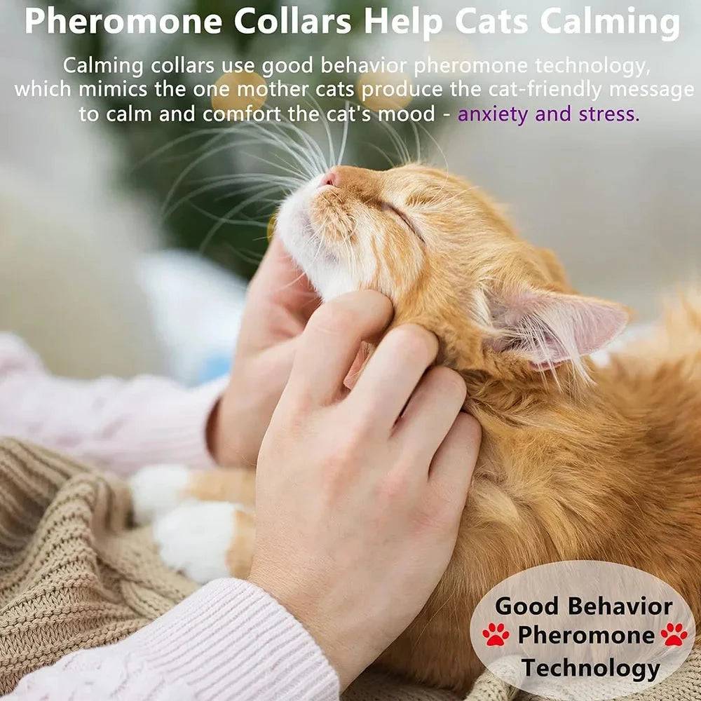 Pink TrendyPet's Zone calming cat collar with adjustable design, pheromone scent, in a box and OPP bag for anxiety relief.