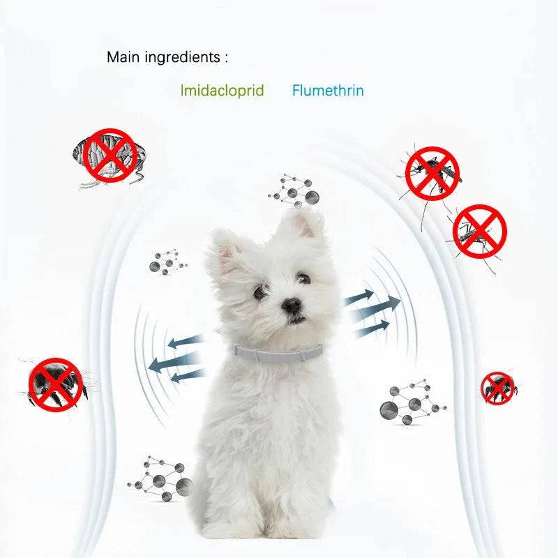 Small Dog Flea and Tick Collar, 8-Month Flea and Tick Collar TRENDYPET'S ZONE