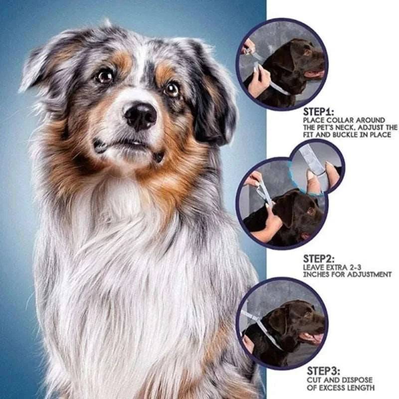 Small Dog Flea and Tick Collar, 8-Month Flea and Tick Collar TRENDYPET'S ZONE