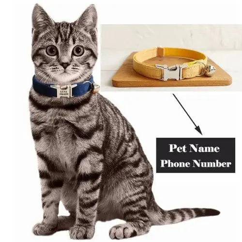 Yellow Cat Small Dog Collar with Bell Personalized Engraving ID Tag Nameplate Kitten Collars Necklace Small Dogs Puppy Bulldog Chihuahua Yorshire - TrendyPet's Zone