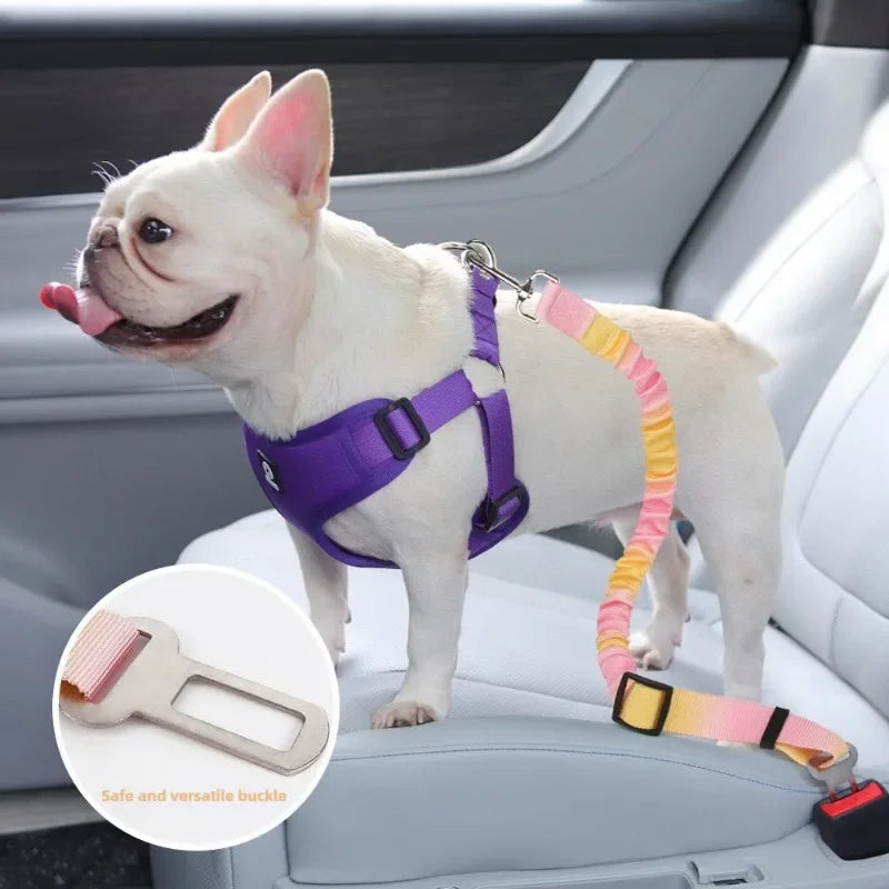 Yellow-pink pastel elastic pet car seat belt and leash by TrendyPet's Zone, adjustable shock-absorbing safety harness for dogs and cats.
