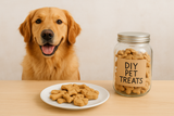 5 Easy DIY Pet Treats You Can Make Home