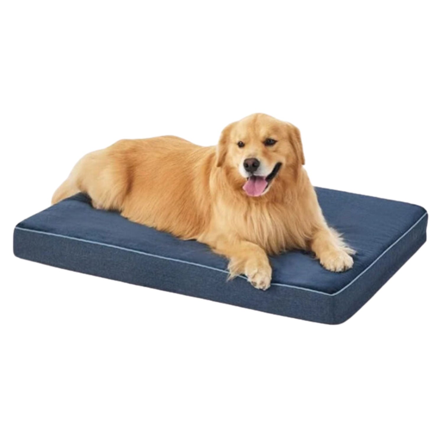Dog Orthopedic Beds Trendypet's Zone