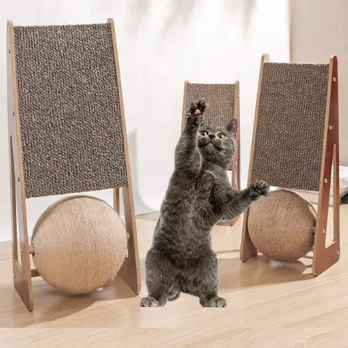 Scratchers Trendypet's Zone