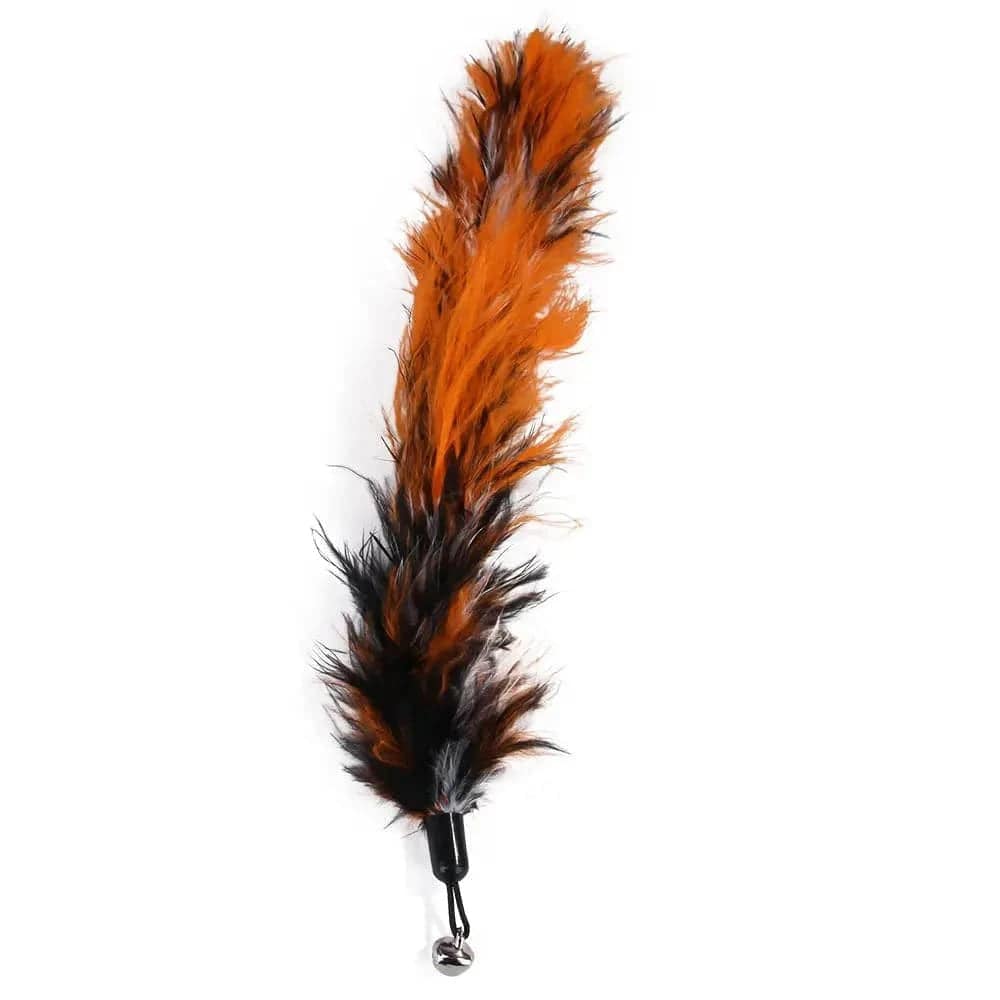 11 Pcs Replacement Cat Feather Toy Set Cat Feather Teaser Wand Toy - TrendyPet's Zone